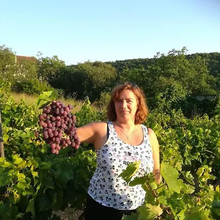 Milda+m Appartement *